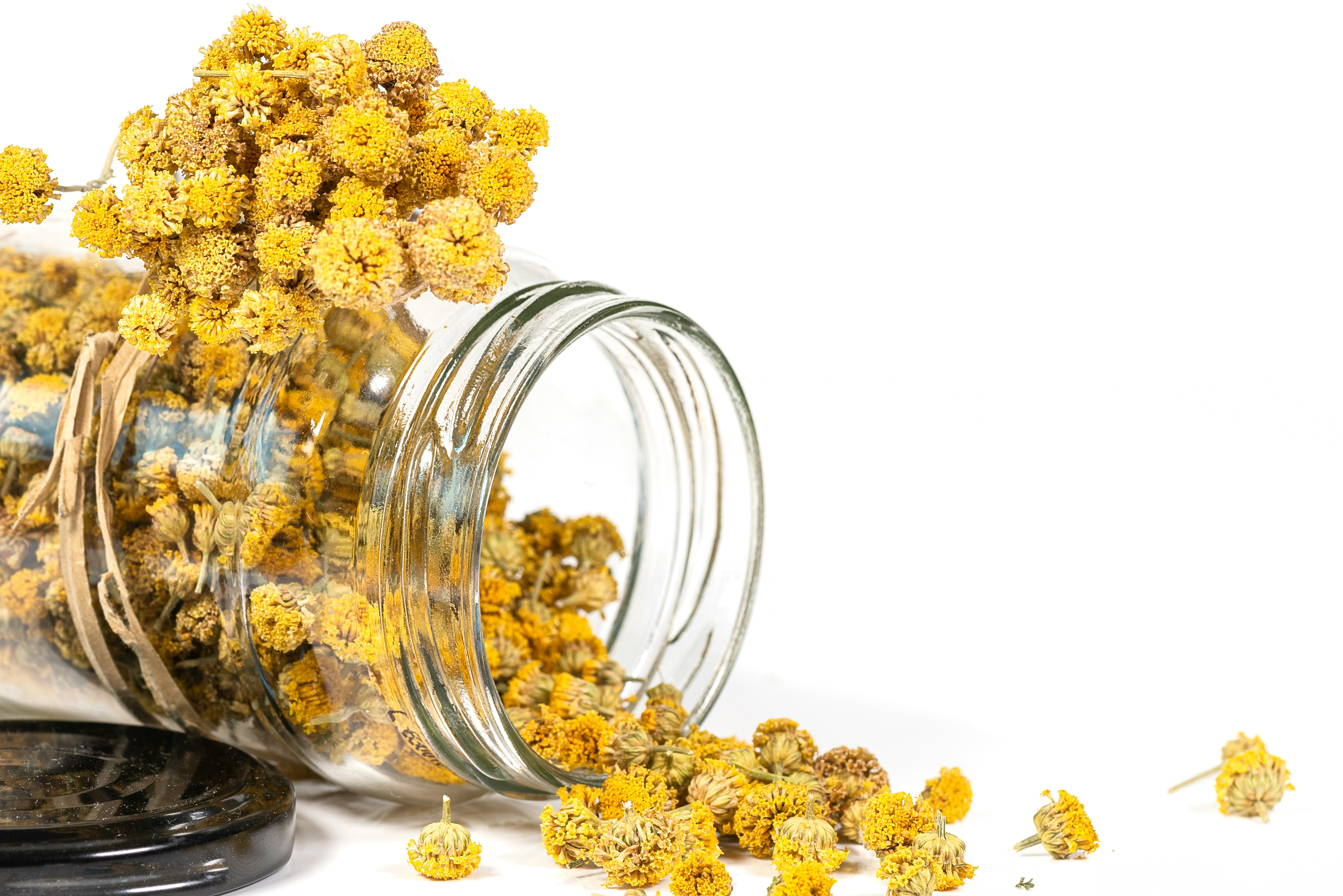 Dried immortelle in a glass jar